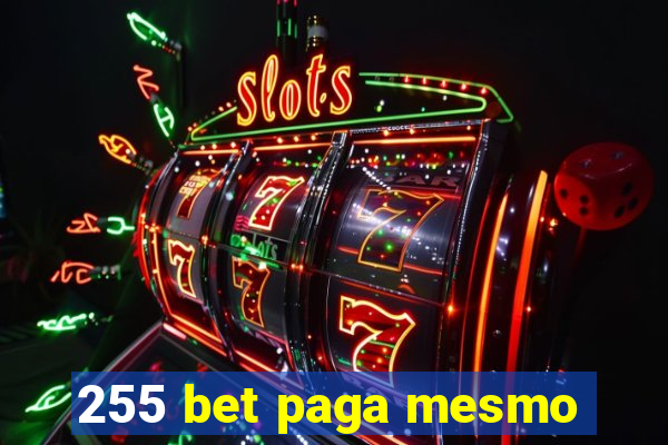 255 bet paga mesmo